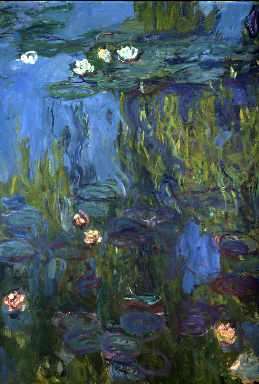 Ninfee, 1914-17 da Claude Monet