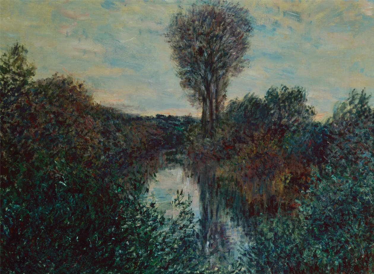 Piccolo ramo della Senna da Claude Monet