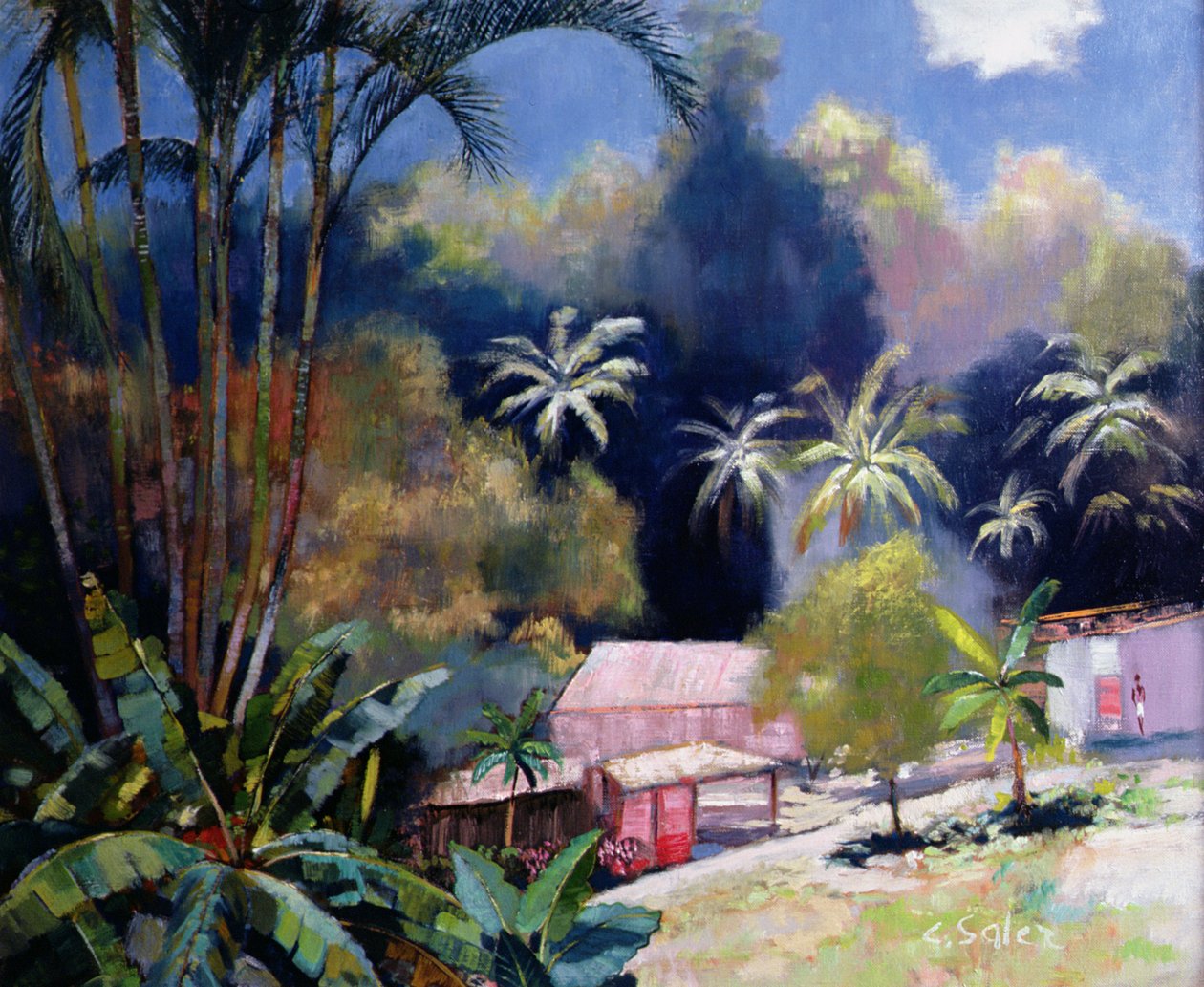 Foresta tropicale, Martinica da Claude Salez