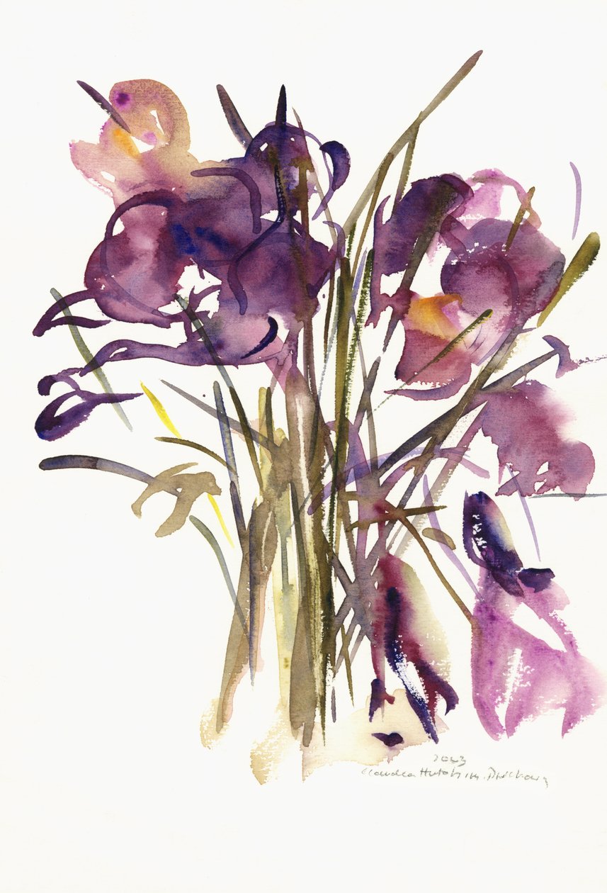 Crocus, 2003 da Claudia Hutchins Puechavy