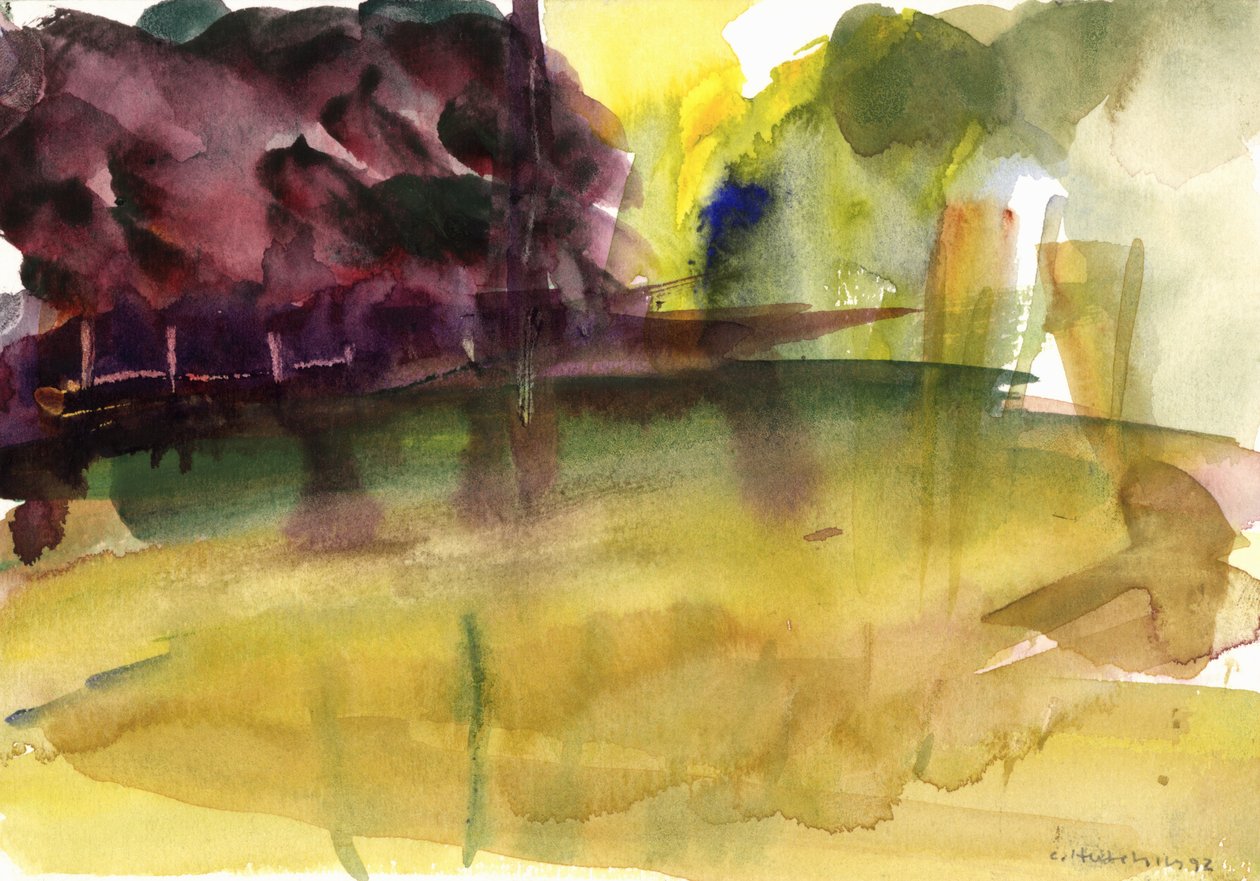 Parco in Normandia, 1992 da Claudia Hutchins Puechavy