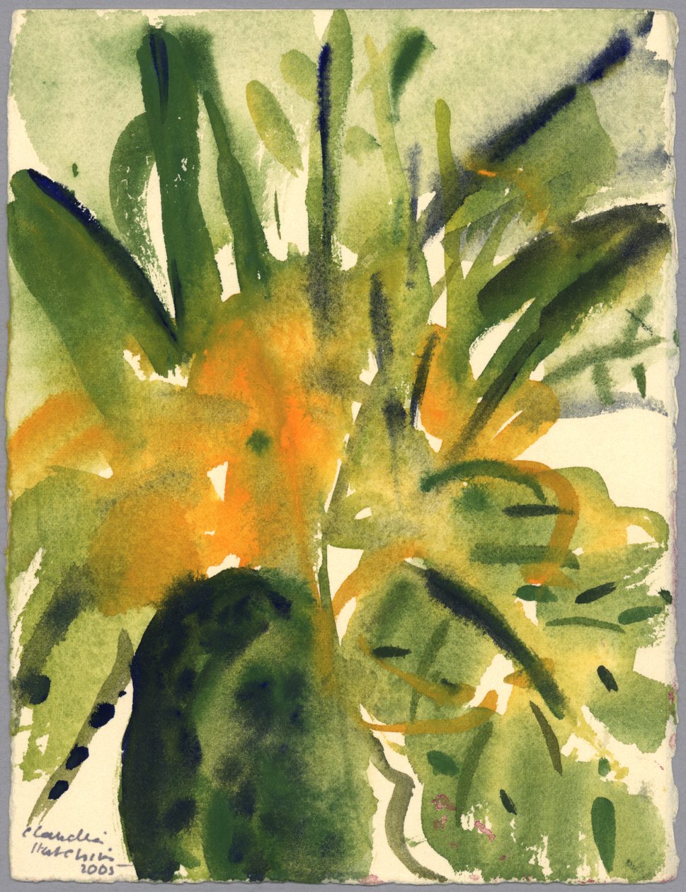 Primule, 2005 da Claudia Hutchins Puechavy