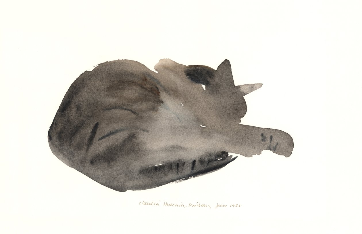 Gatto che dorme, 1985 da Claudia Hutchins Puechavy