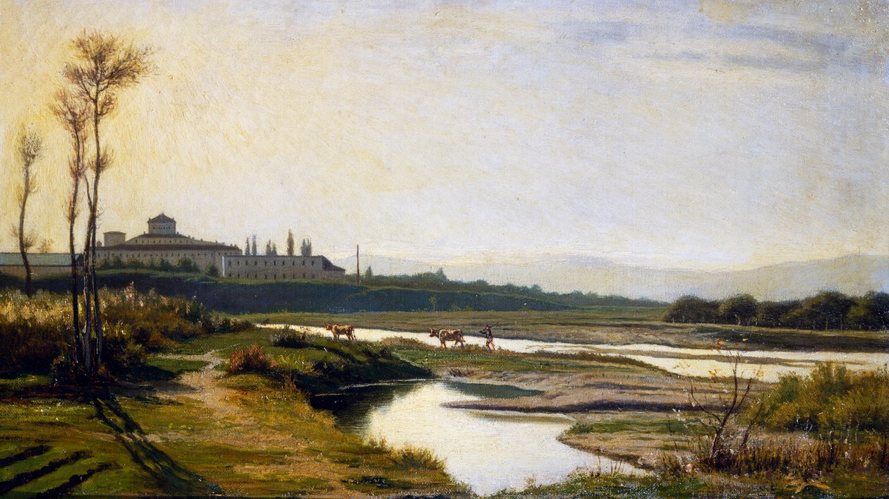 Il fiume Parma da Claudio Alessandri