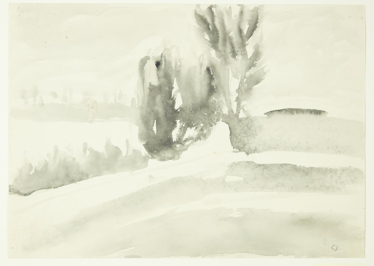 Paesaggio con alberi da Claus Johansen