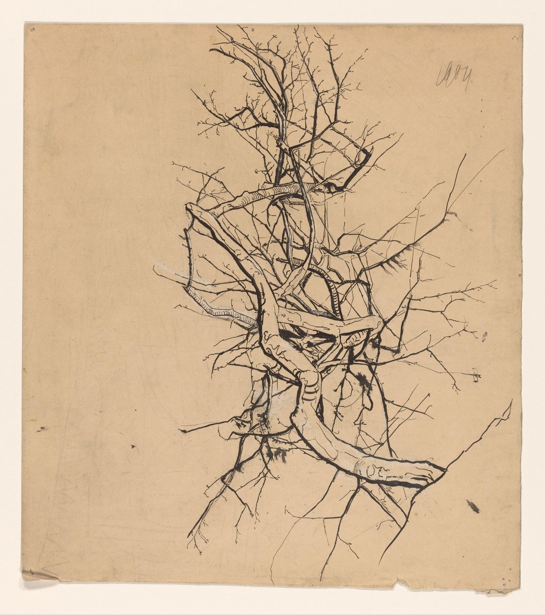 Studio di un albero da Coba Steenhoff