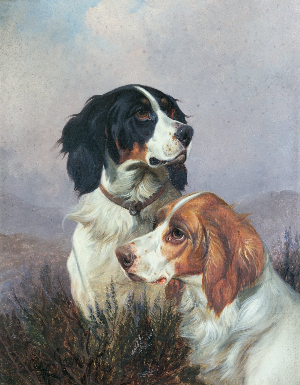 Setter su una brughiera, 1892 da Colin Graeme