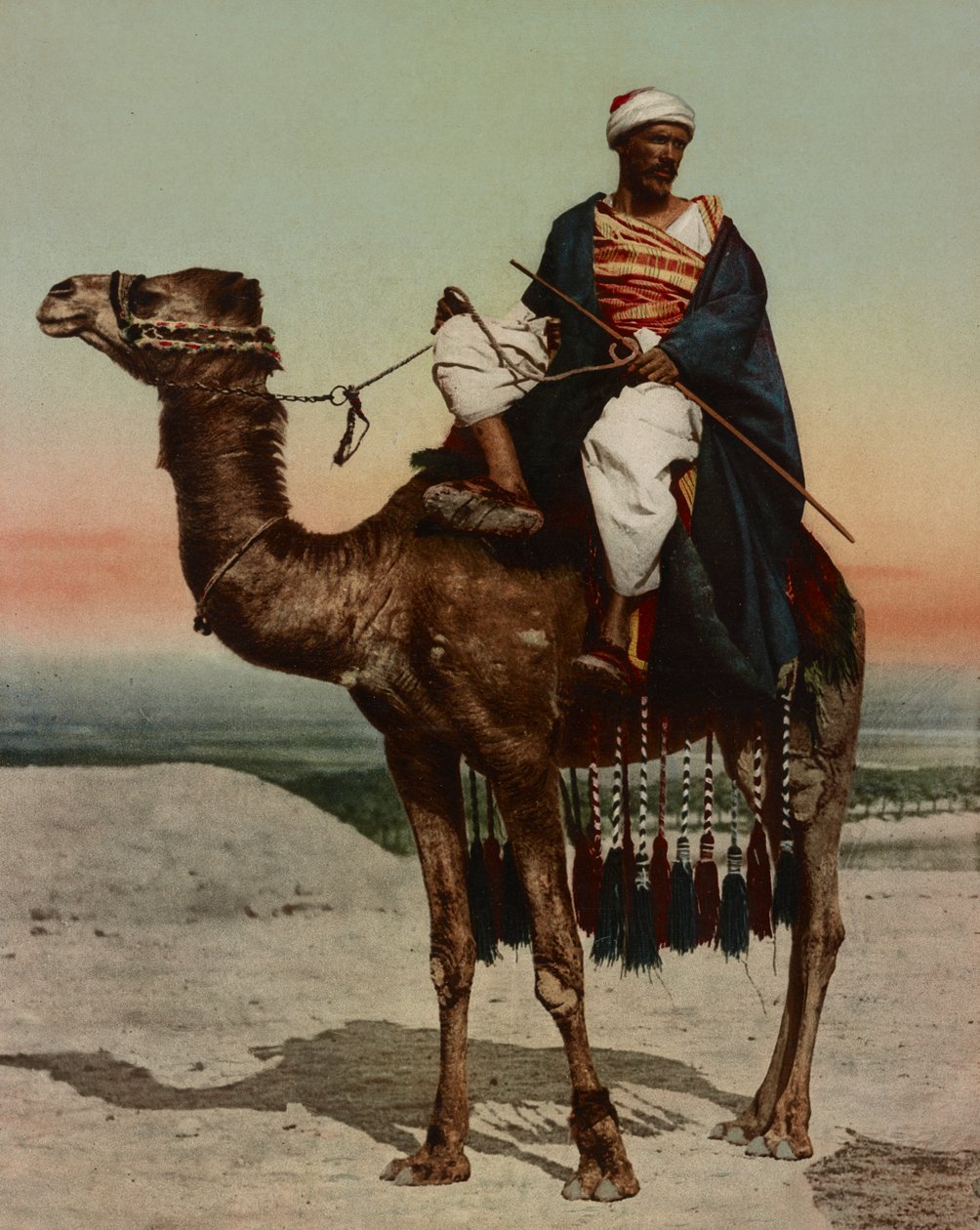 Un beduino, Il Cairo, Egitto da Company Photoglob