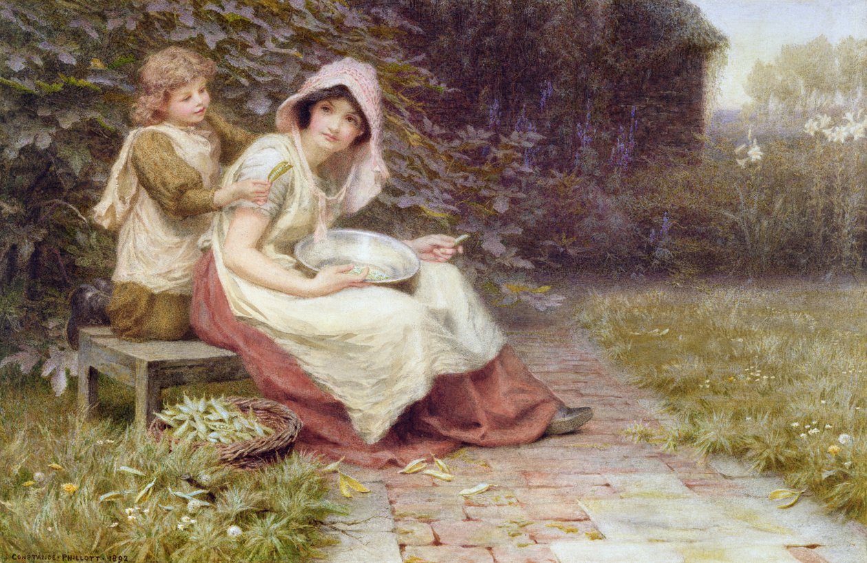Sgranare piselli da Constance Phillott