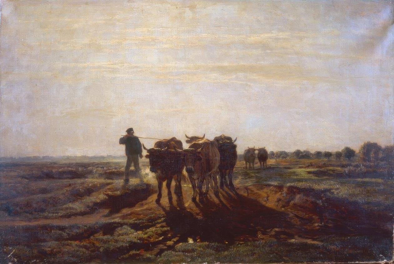 Paesaggio pianeggiante con buoi da Constant Troyon