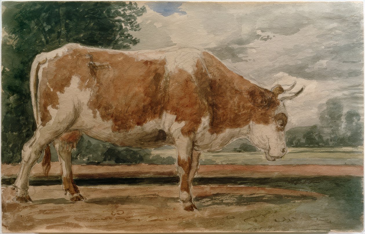 Mucca di profilo da Constant Troyon