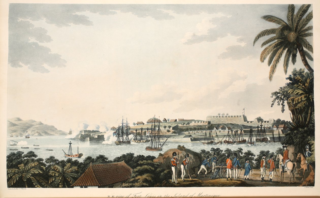 Vista nord-est di Fort Louis nell