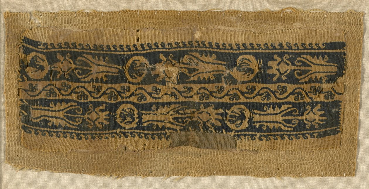 Fascia da polso da Coptic