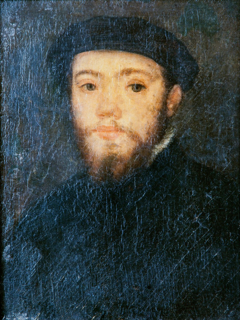Ritratto di un uomo da Corneille de Lyon
