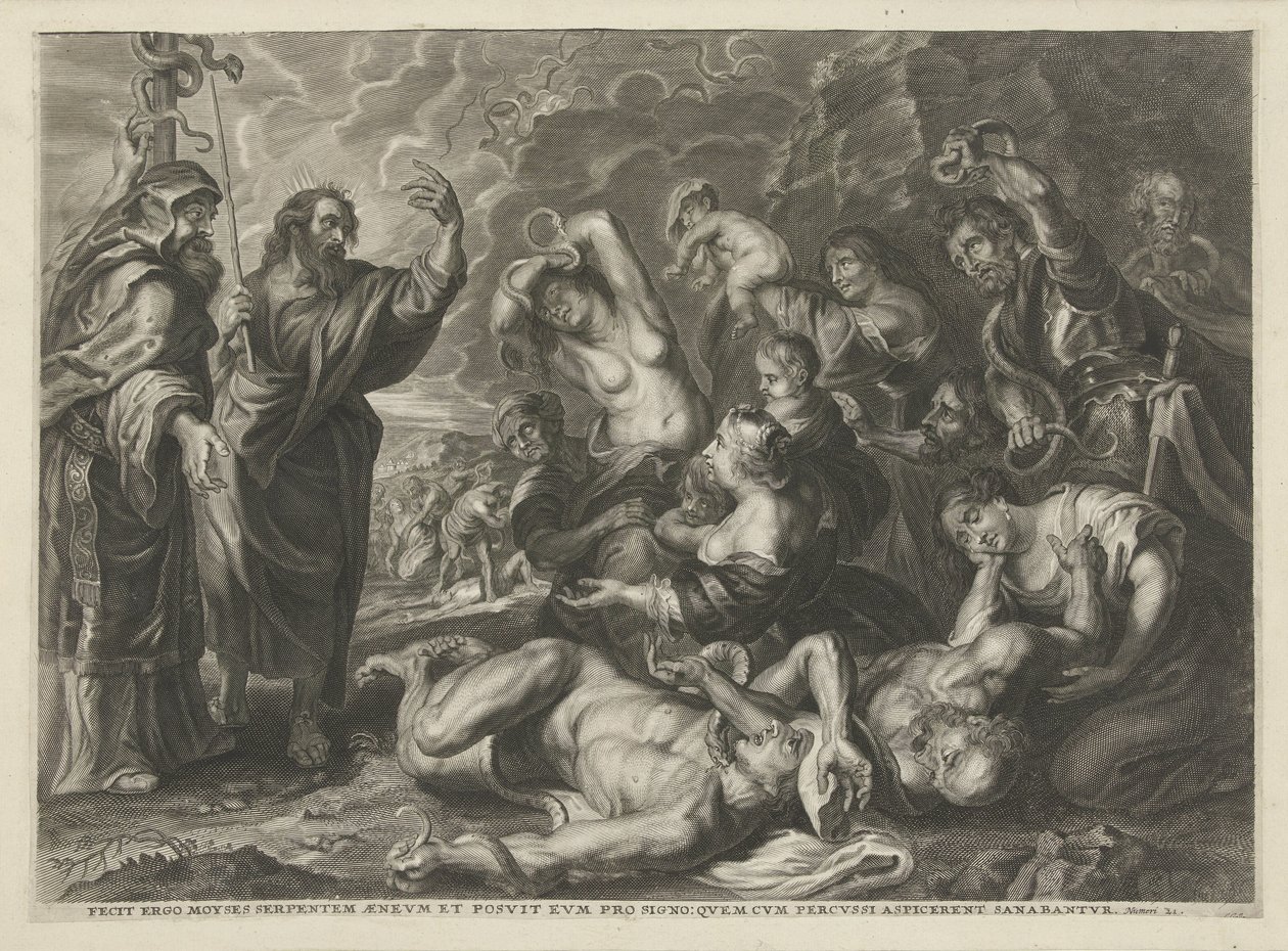 Il serpente di bronzo da Cornelis Galle (I)