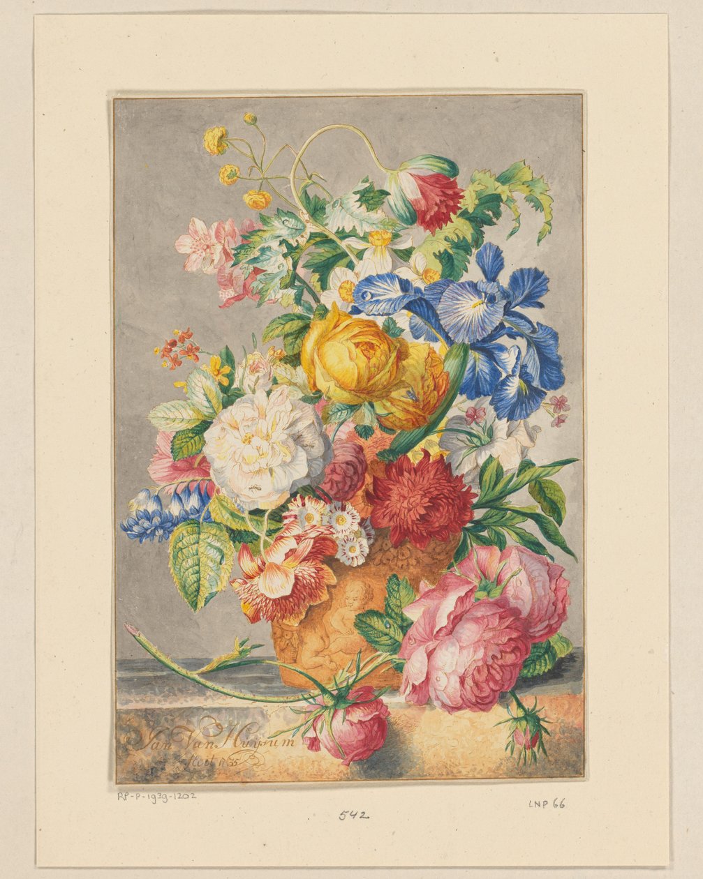 Natura morta con fiori da Cornelis Ploos van Amstel
