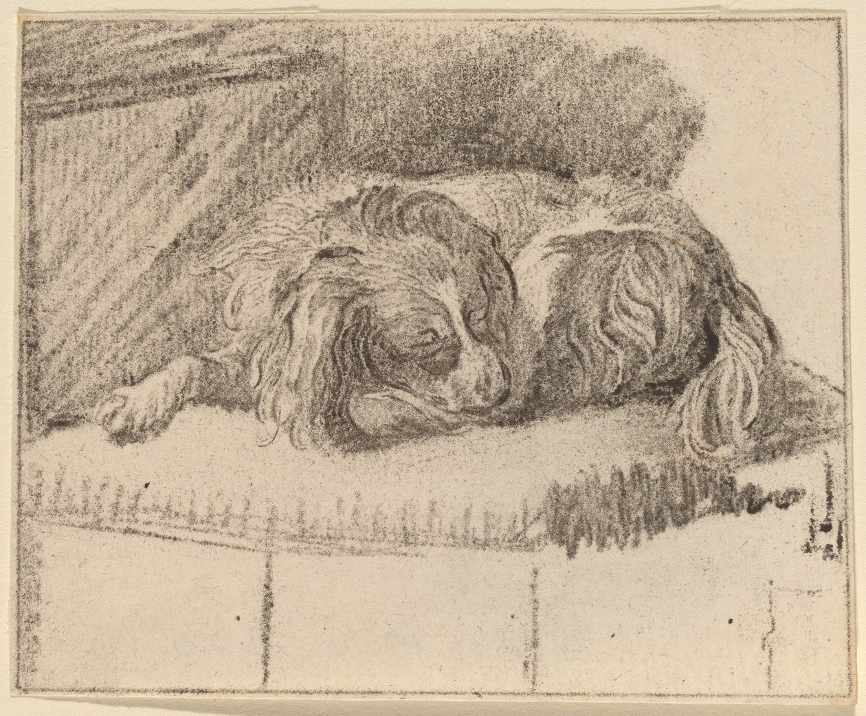 Cane sdraiato da Cornelis Ploos van Amstel