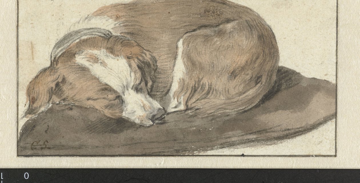Cane che dorme da Cornelis Saftleven