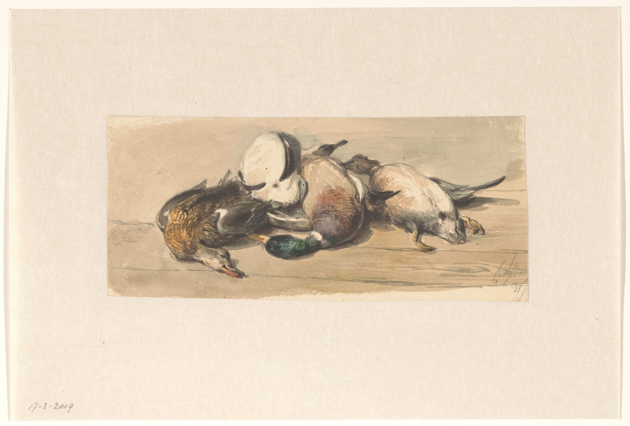 Natura morta con quattro anatre da Cornelis Springer