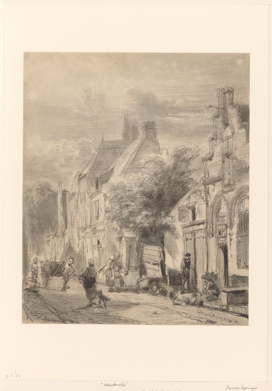 Veduta di strada a Harderwijk da Cornelis Springer