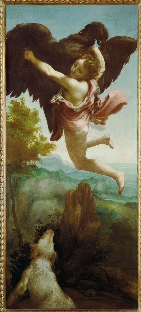 Il rapimento di Ganimede da Correggio