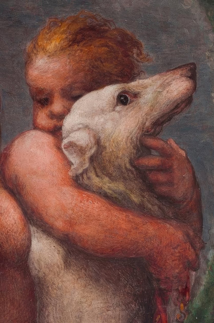 Parma, Camera di S.Paolo, Putto da Antonio da Correggio