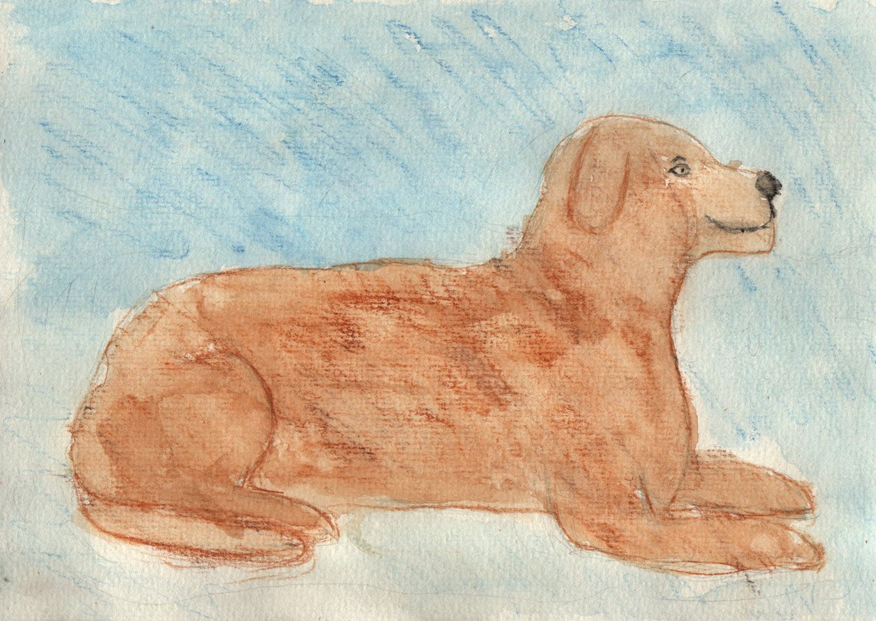 Sognato dal cane da Crazy Artist