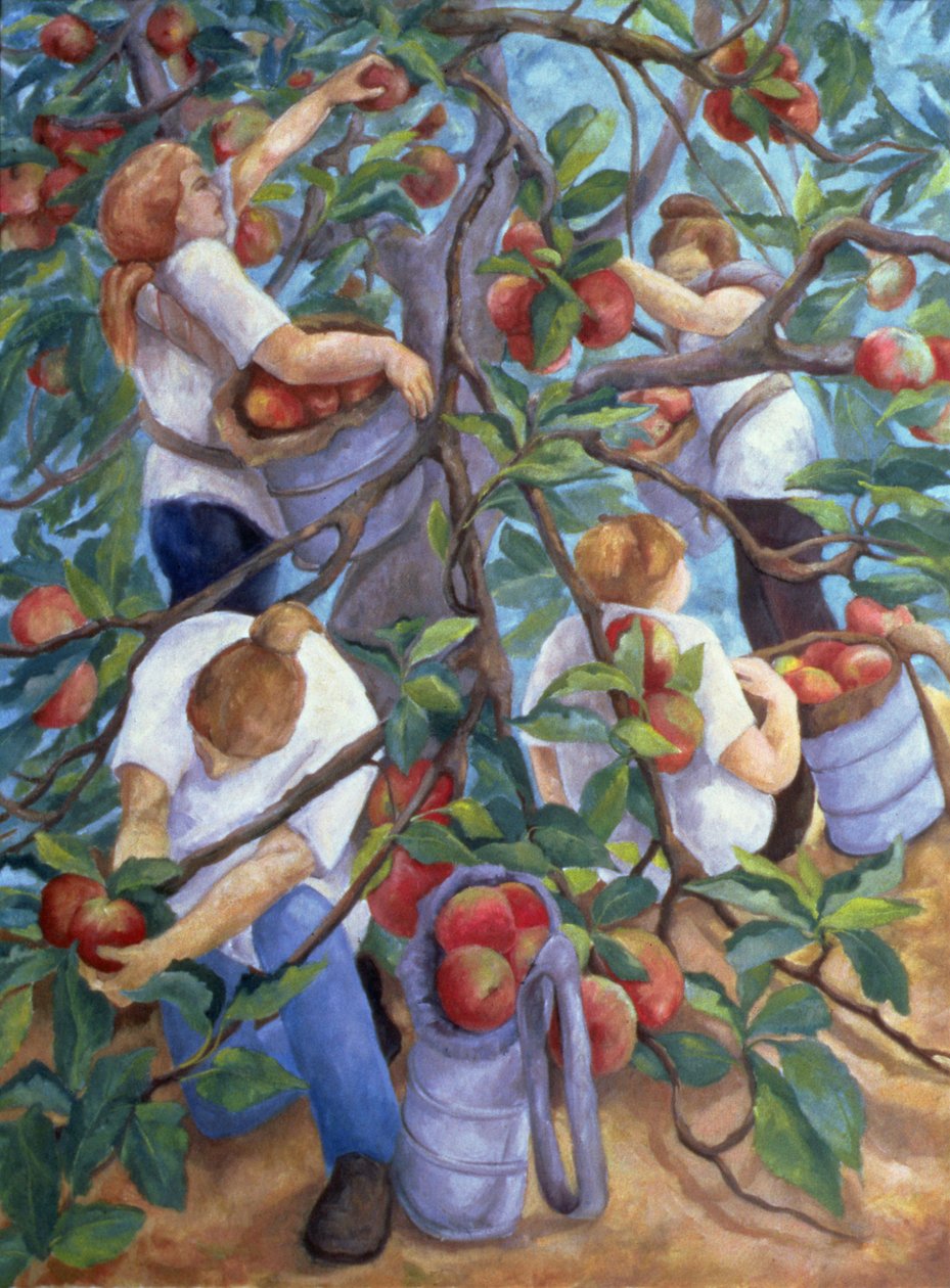 Raccoglitori di mele, 1996 da Cristiana Angelini