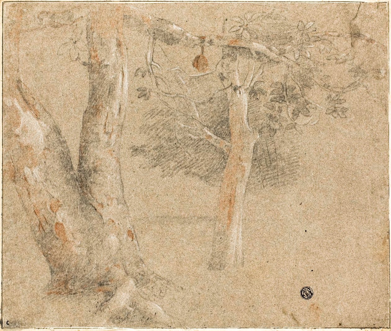 Schizzi di alberi da Cristofano Allori
