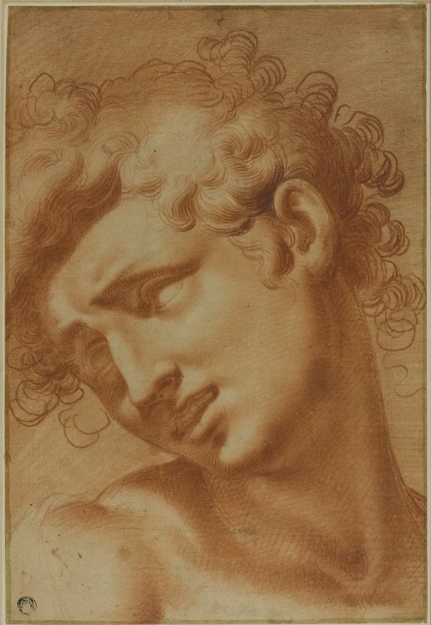 Testa di un Giovane da Cristoforo Roncalli