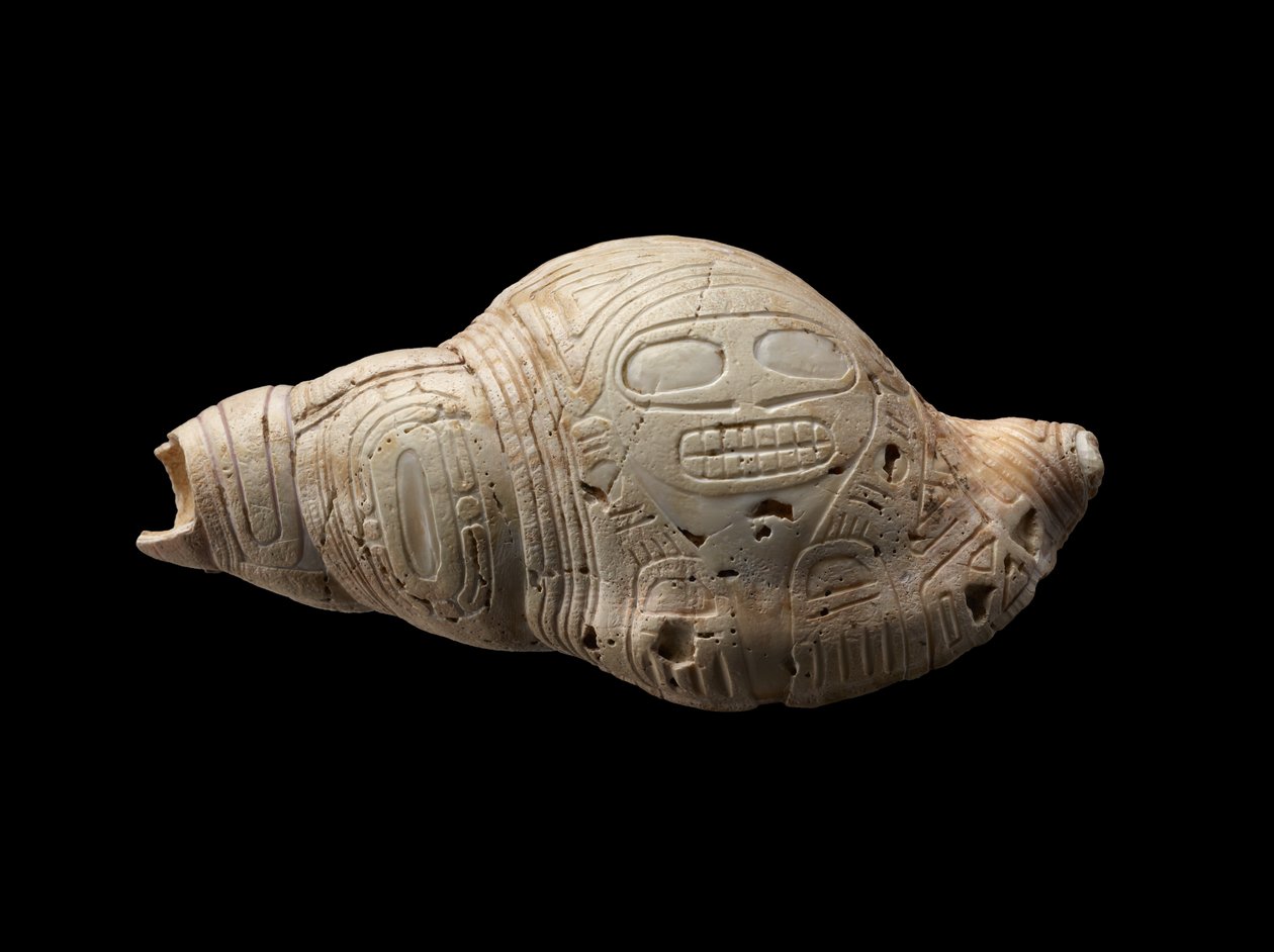 Conchiglia scolpita da Culture Taino