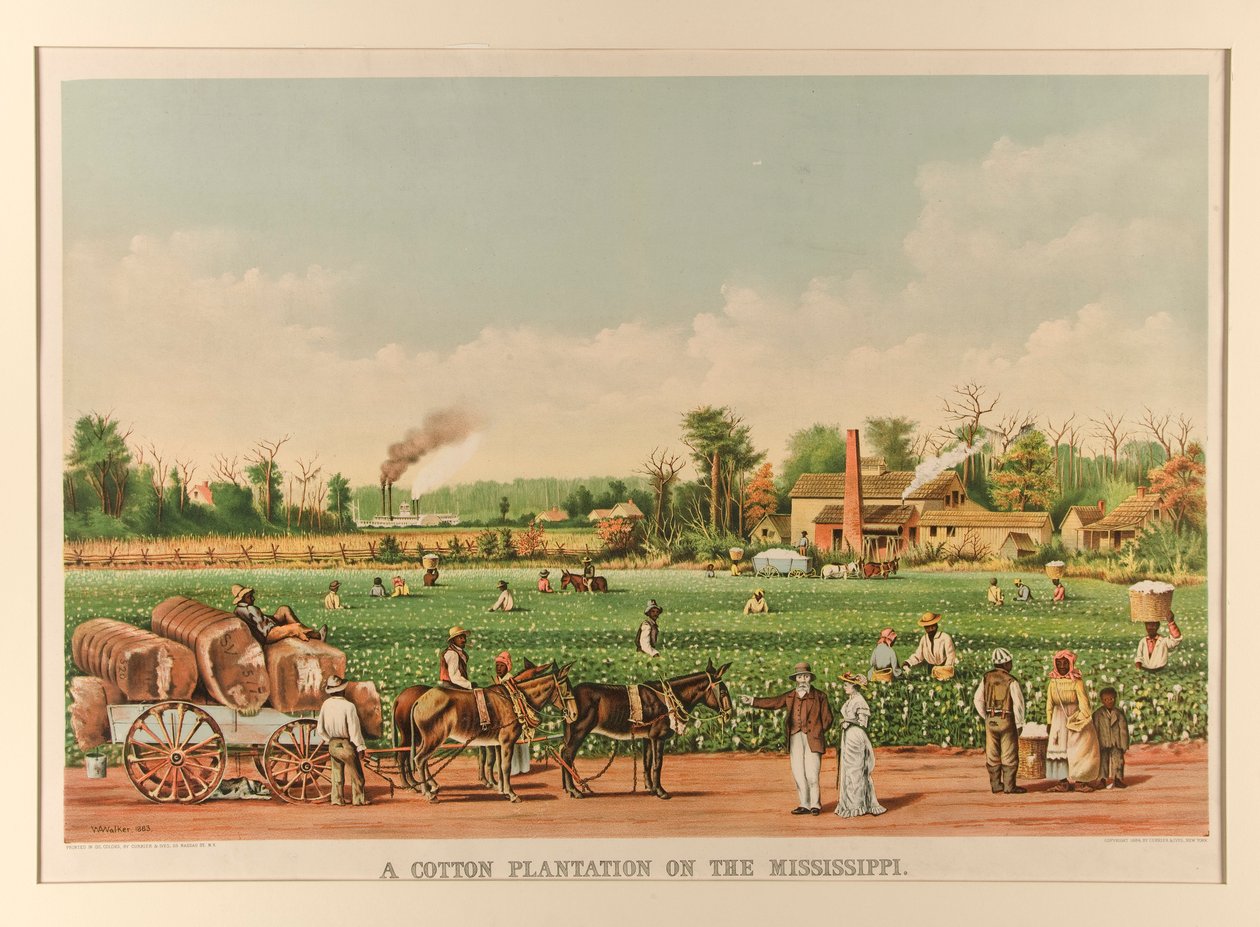Una piantagione di cotone sul Mississippi da Currier and Ives