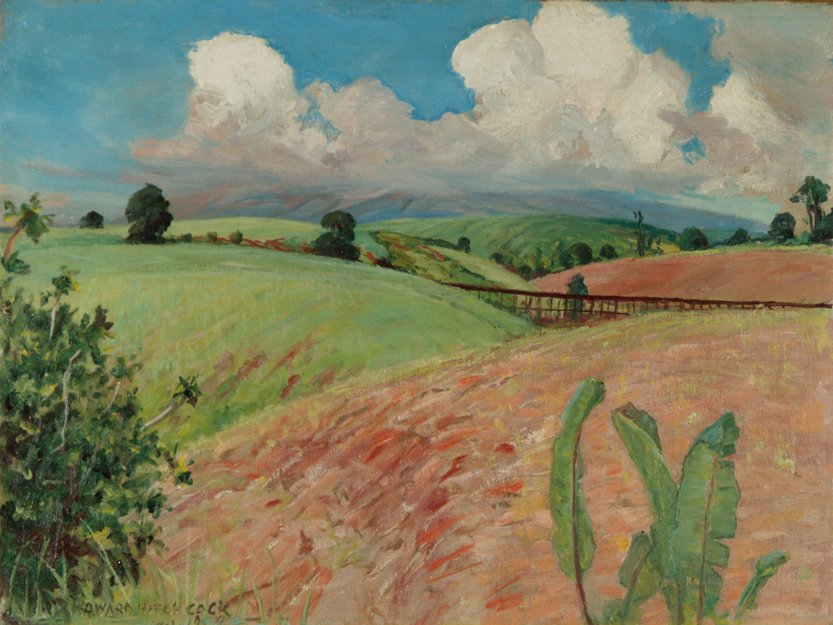 Campi di canna, Isola Grande da D. Howard Hitchcock