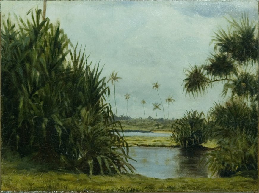 Baia di Hilo da D. Howard Hitchcock