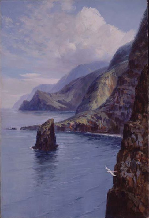 Scogliere di Molokai, Hawaii da D. Howard Hitchcock