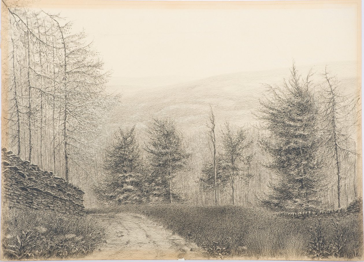 Ponte di Egglestone, Teesdale, c.1916 da Daniel Oliver