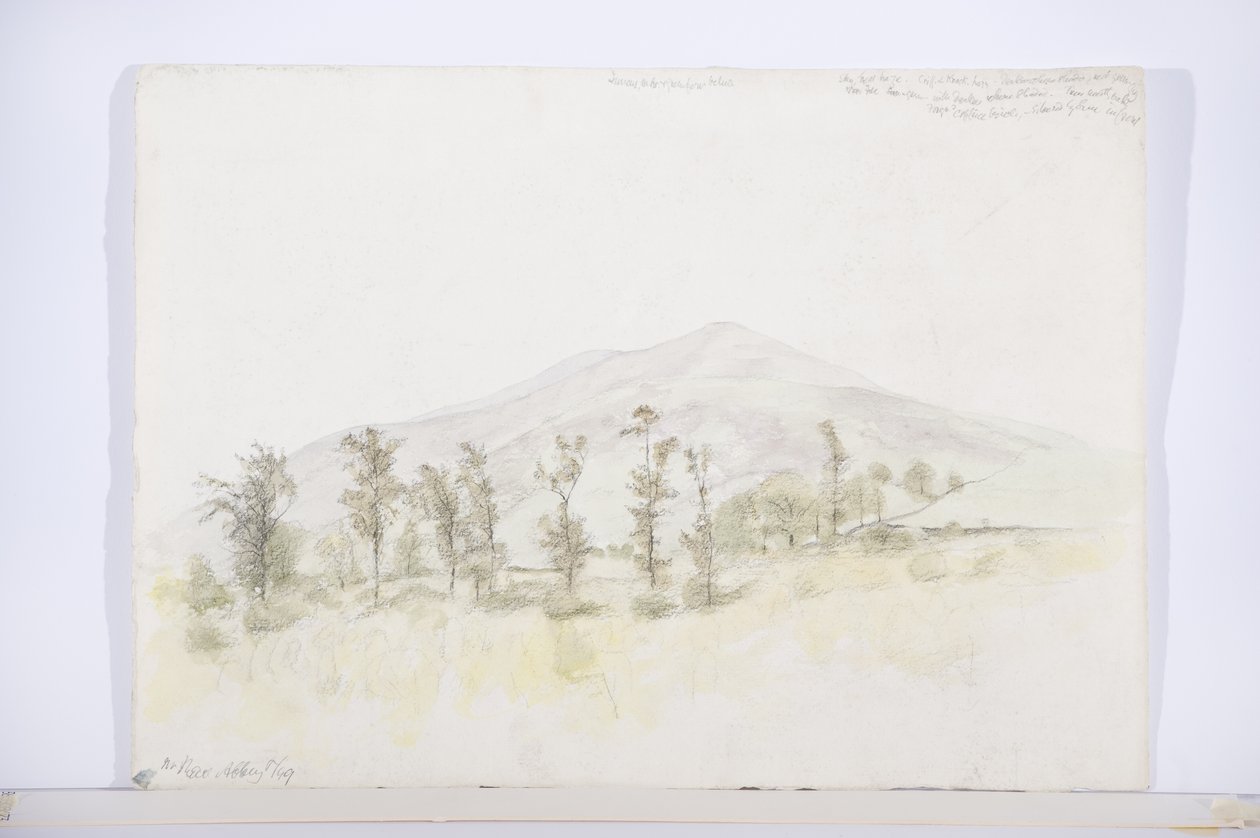 Vicino a New Abbey, c.1916 da Daniel Oliver