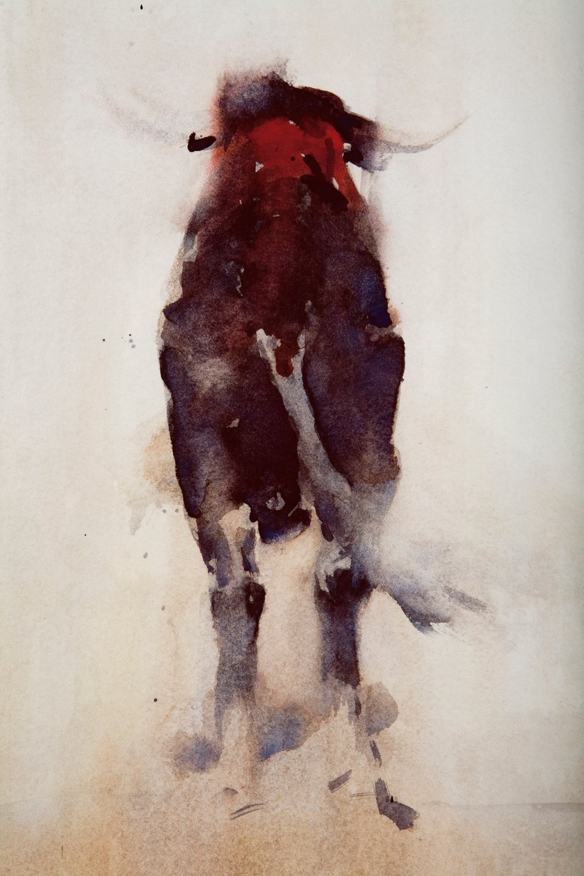 Toro (dettaglio) da Daniel Cacouault