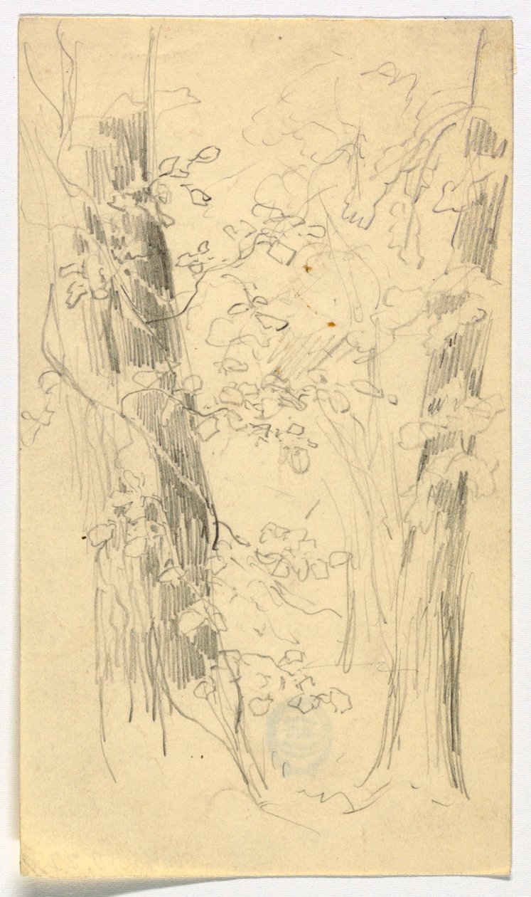 Schizzo di alberi da Daniel Huntington