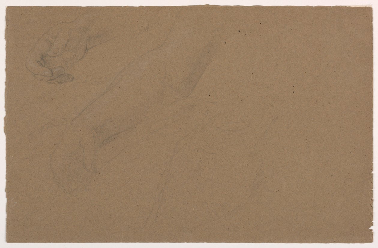 Studi di mani da Daniel Huntington