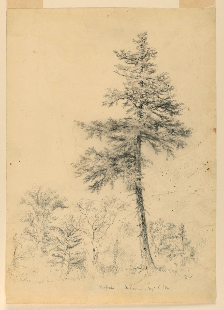 Studio della cicuta, Gorham, New Hampshire da Daniel Huntington