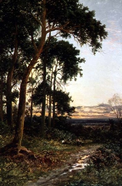 Il sentiero nel bosco da Daniel Sherrin