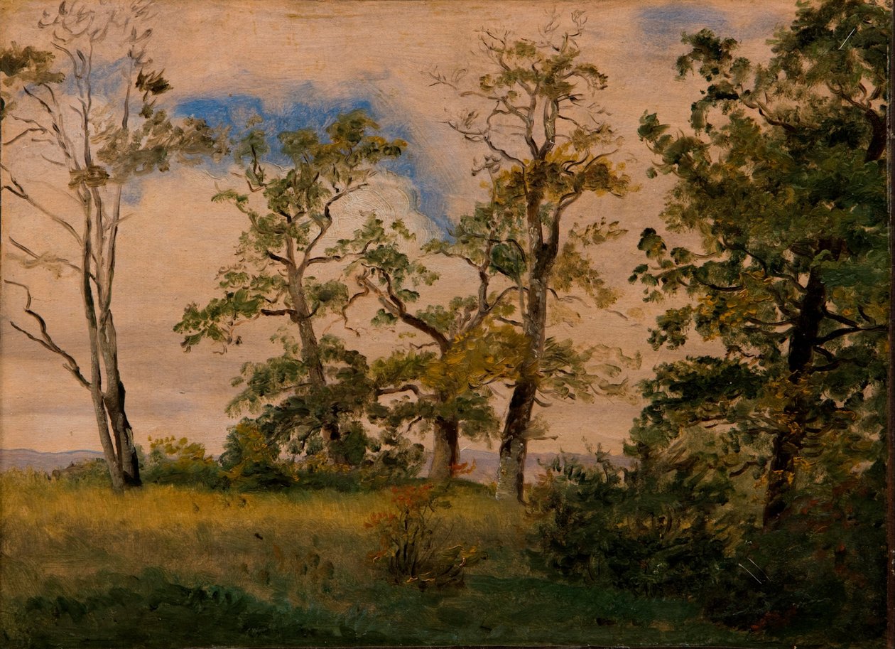 Paesaggio con alberi isolati da Dankvart Dreyer