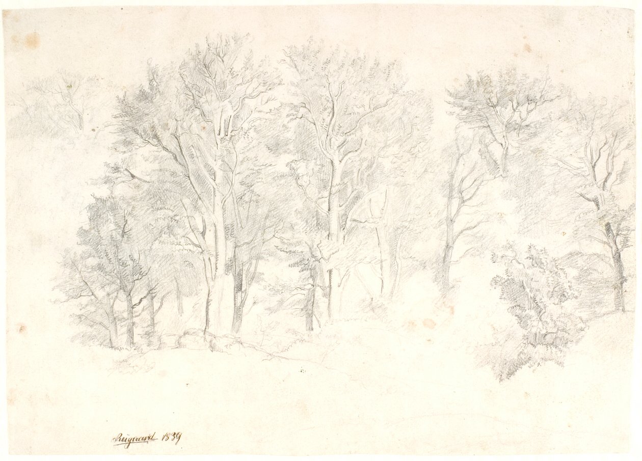 Studio di alberi da Dankvart Dreyer