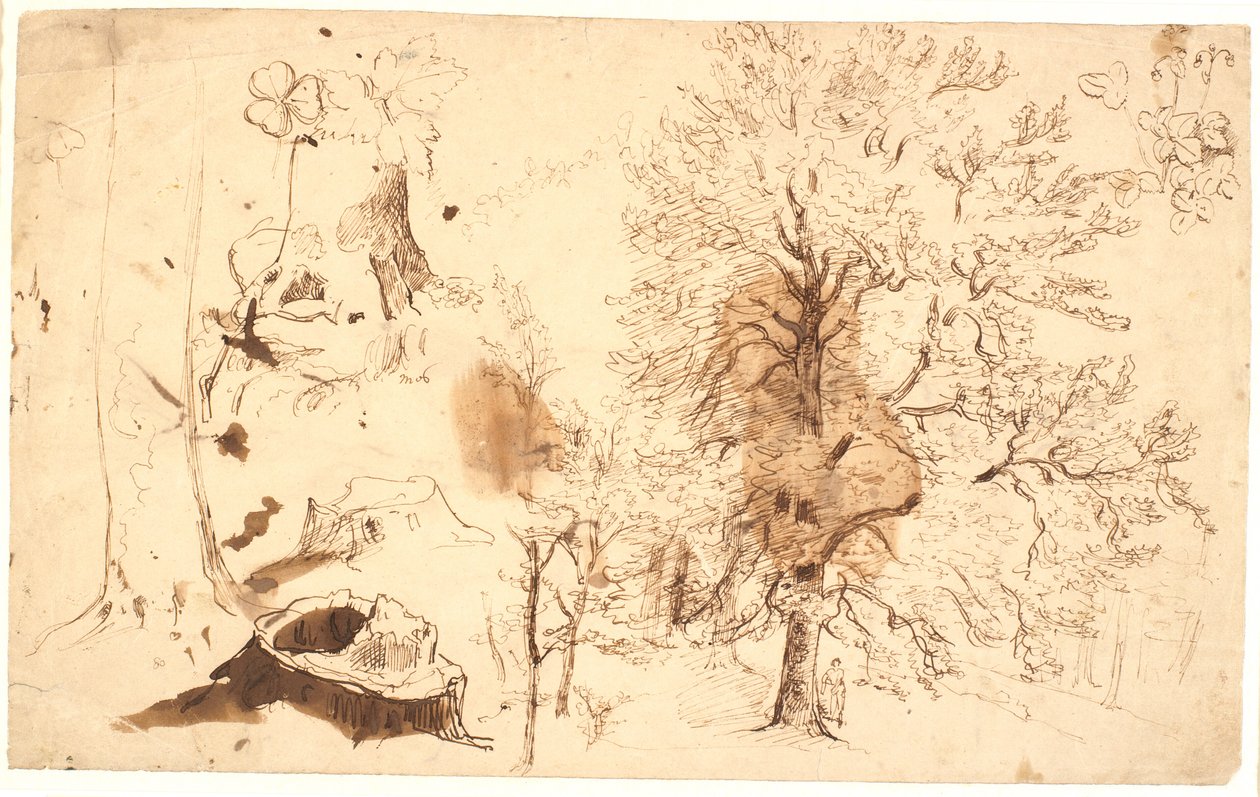 Studio con alberi, piante e ceppi da Dankvart Dreyer