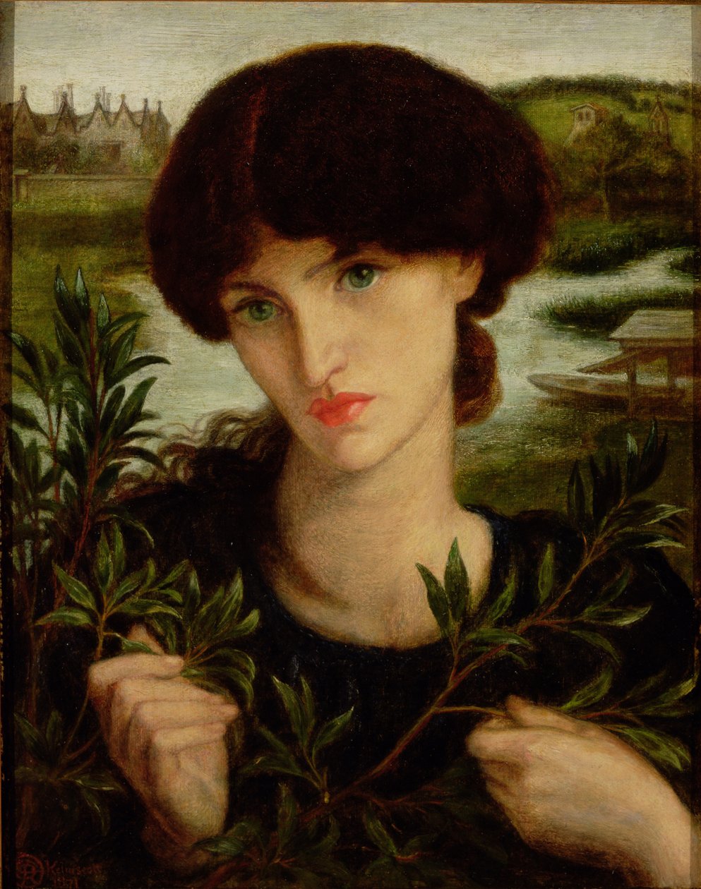 Salice d