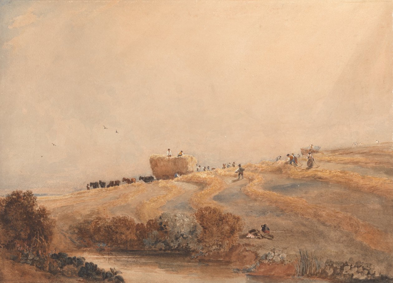 Fienagione da David Cox
