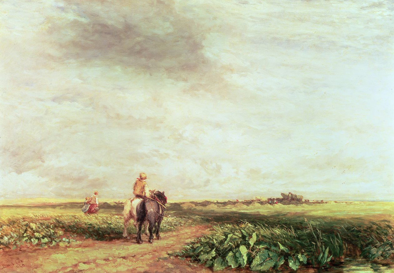 Paesaggio da David Cox