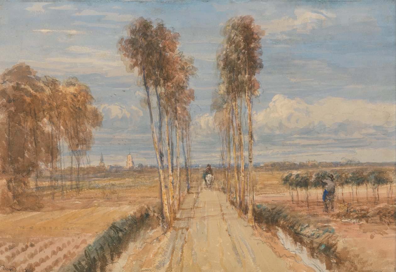 Il viale dei pioppi, dopo Hobbema da David Cox