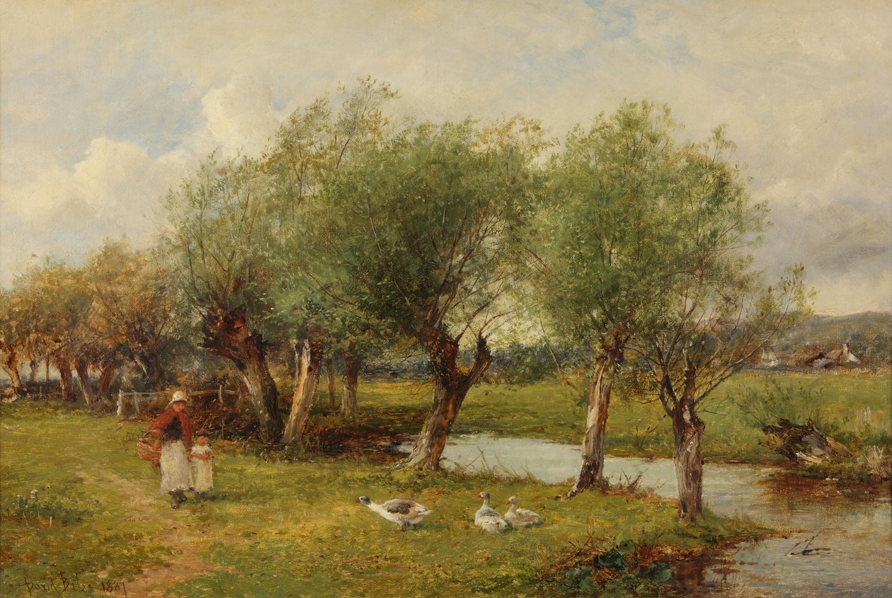 Nutrire le oche da David Bates